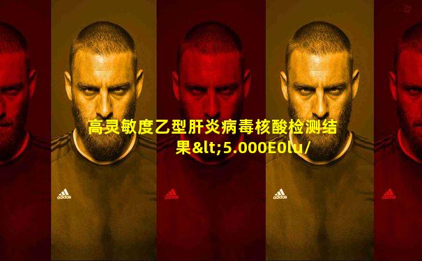 高灵敏度乙型肝炎病毒核酸检测结果<5.000E0lu/mL